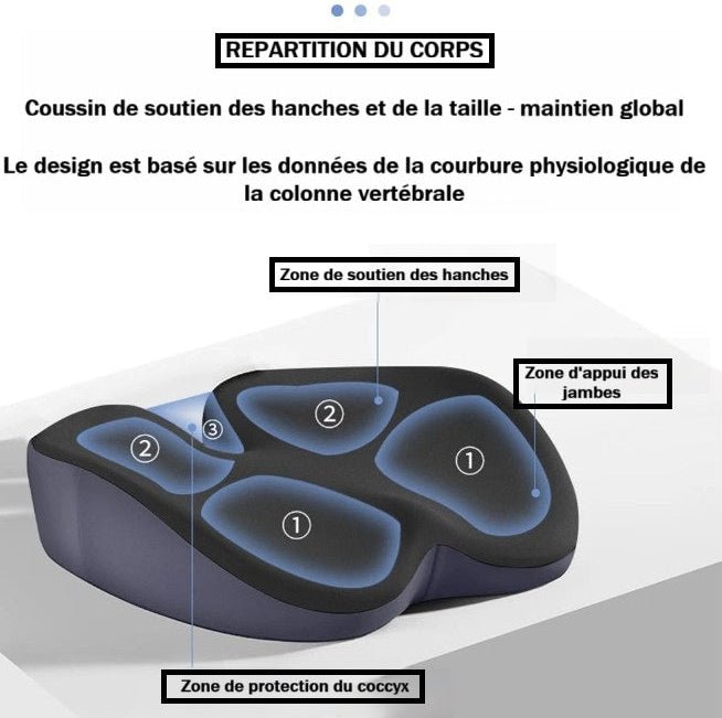 COUSSIN ERGONOMIQUE | COCCYDRIV - Ambiance Auto