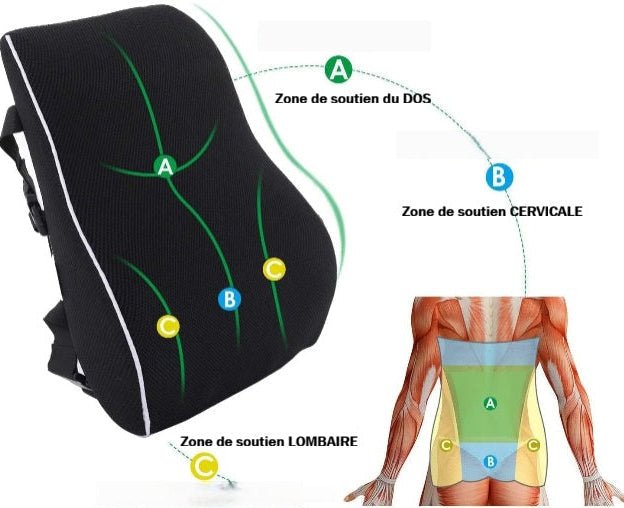 COUSSIN ERGONOMIQUE | LOMBAIPRO - Ambiance Auto